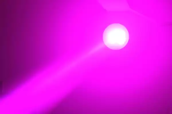 https://www.player.rs/images/products/big/13068.webp