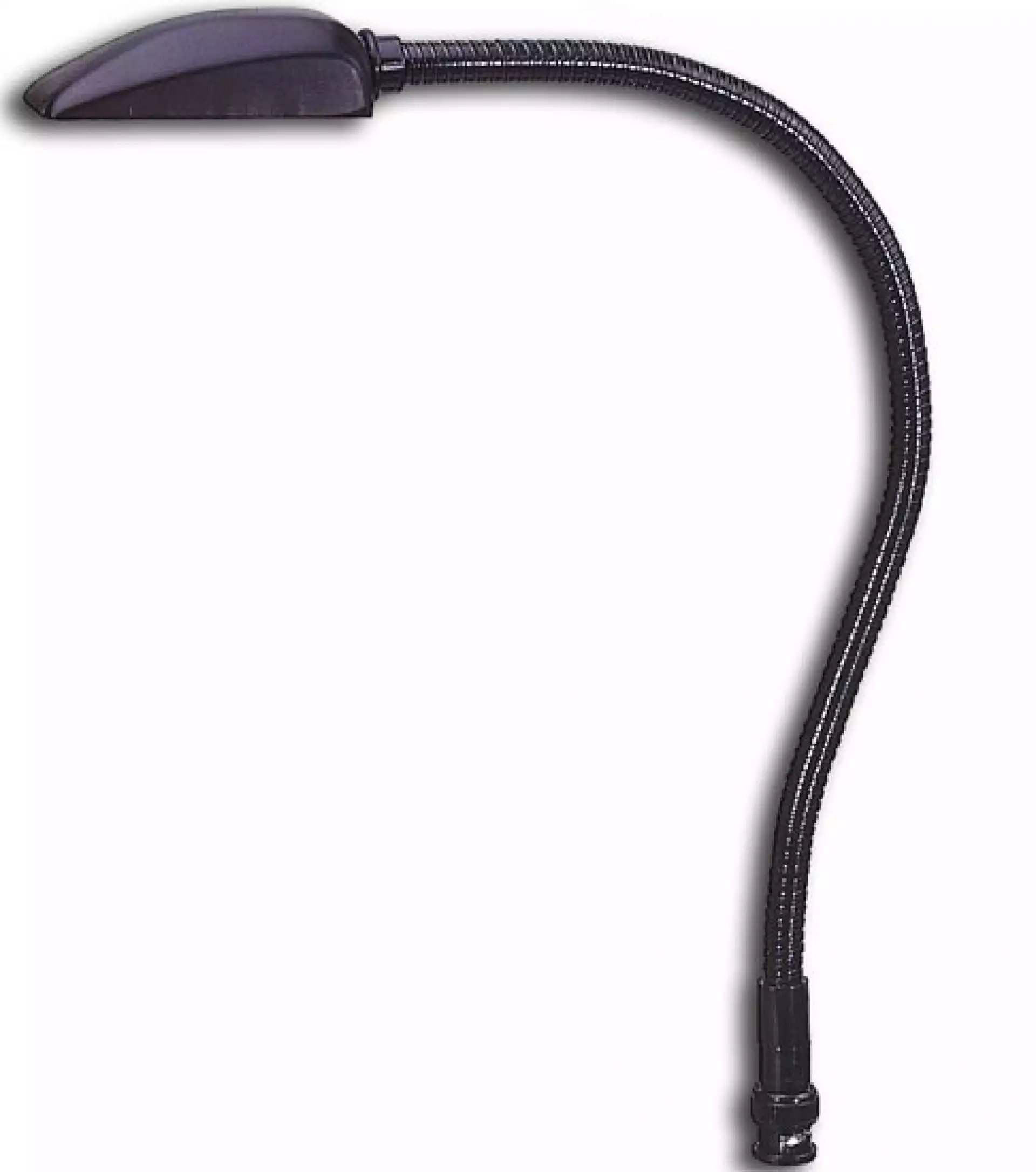JBSYSTEMS BNC Light STANDARD