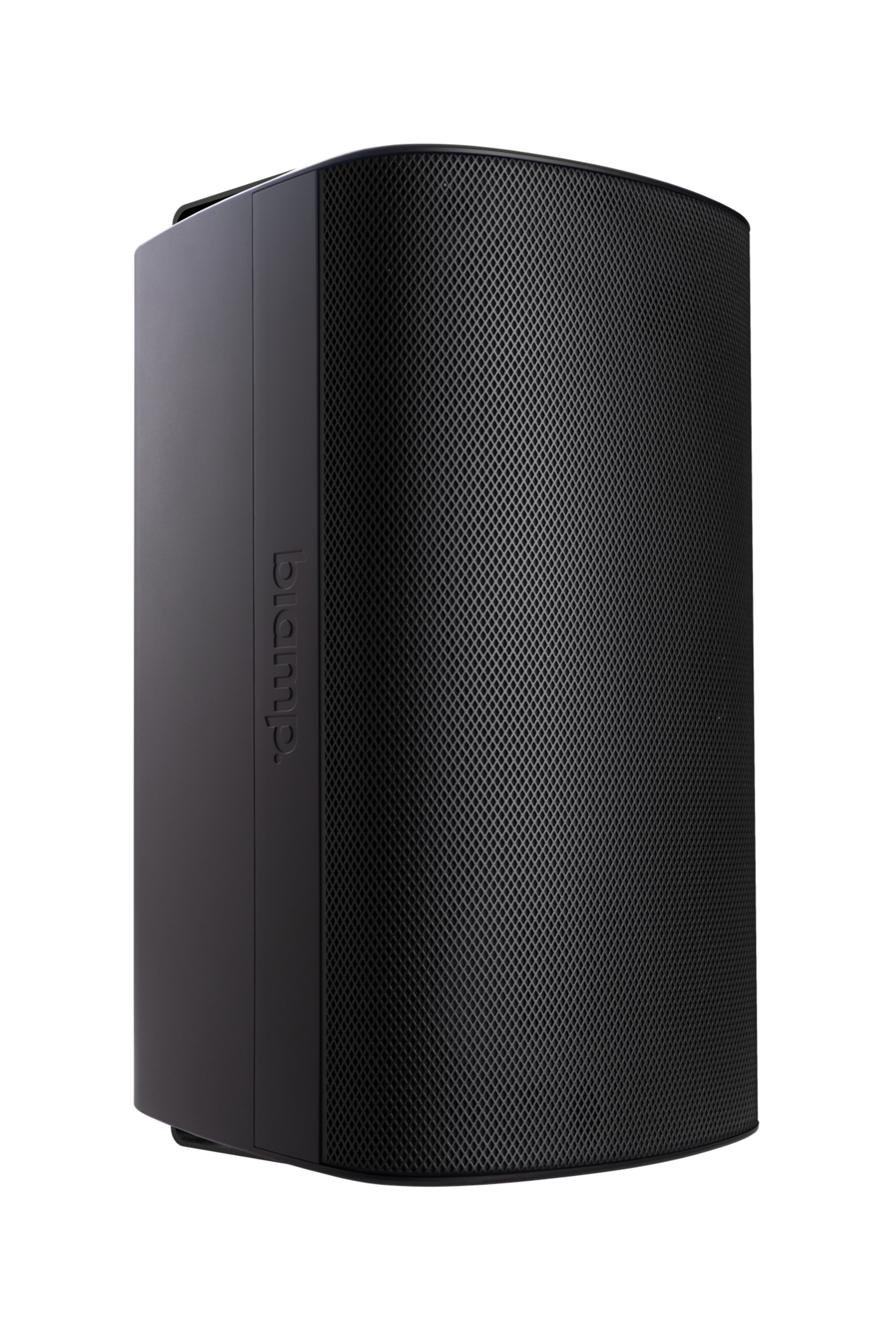 Biamp EX S10 SUB UB