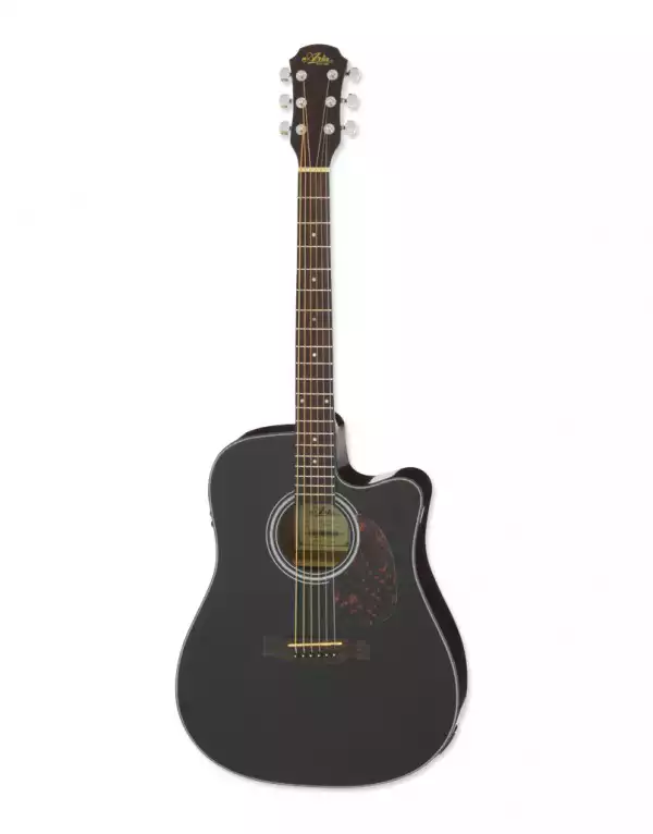 ARIA ADW-01CE BK