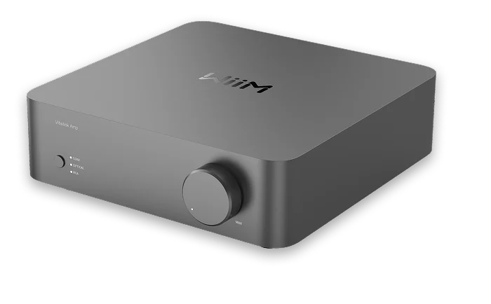 Wiim Vibelink Space Gray