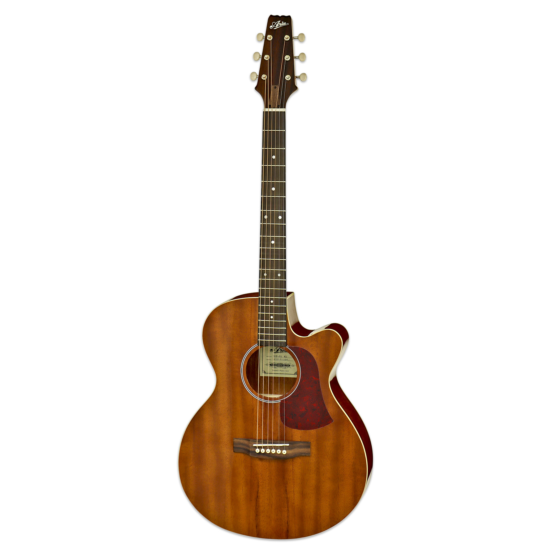 ARIA FET-R1 MH - ozvučena akustična gitara