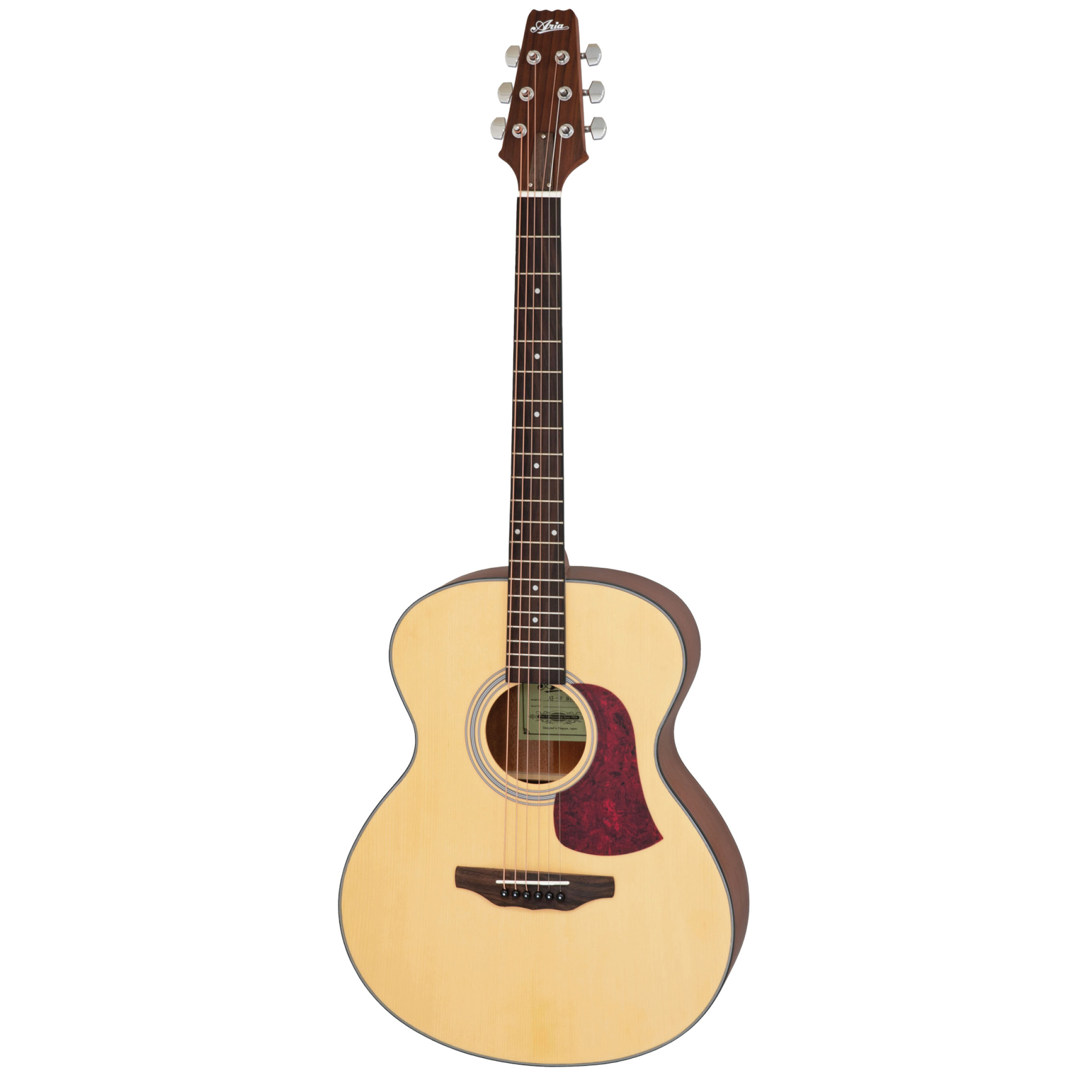Aria AF-10 MTN - Akustična Gitara