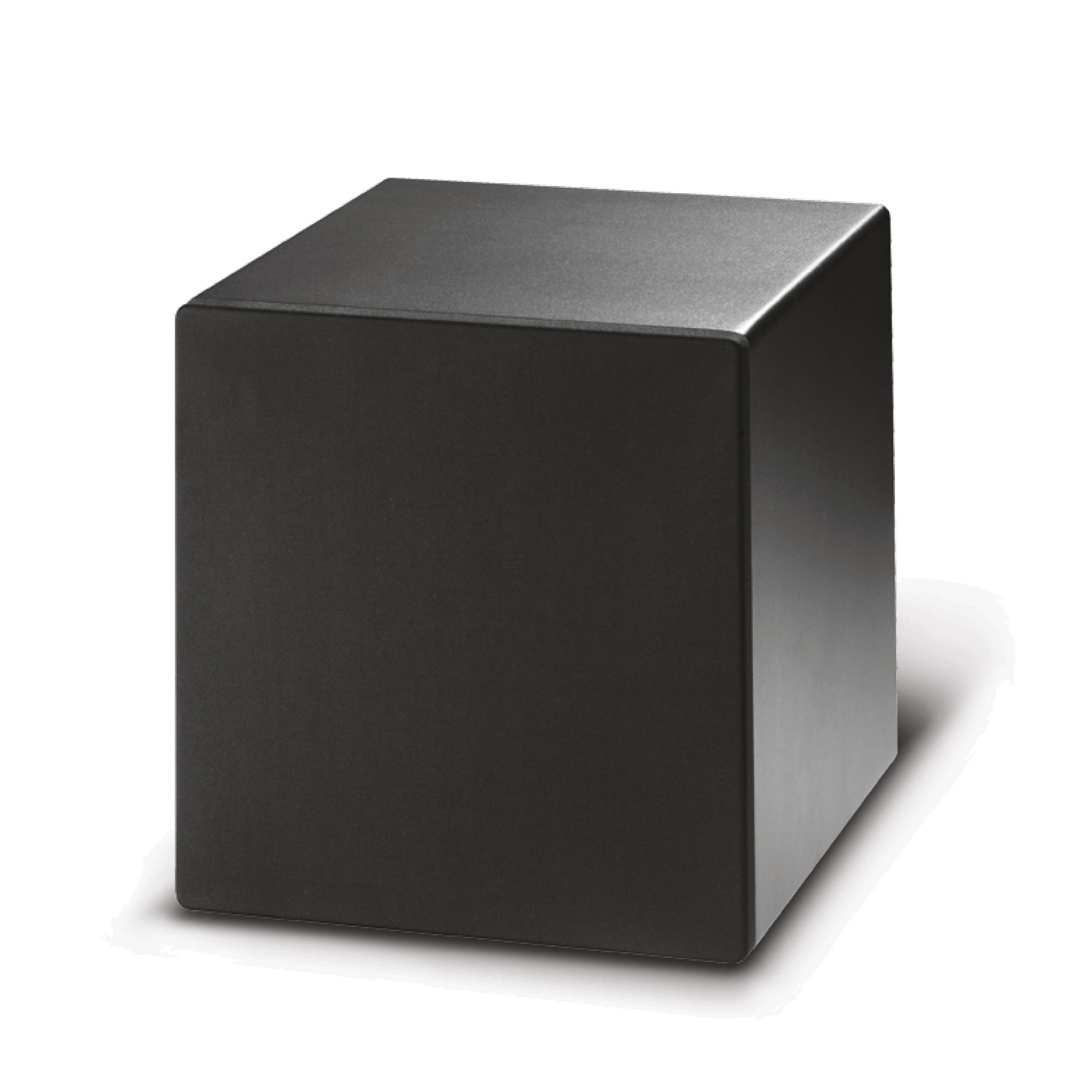 FBT PROJECT 1020SA Black - Aktivni subwoofer