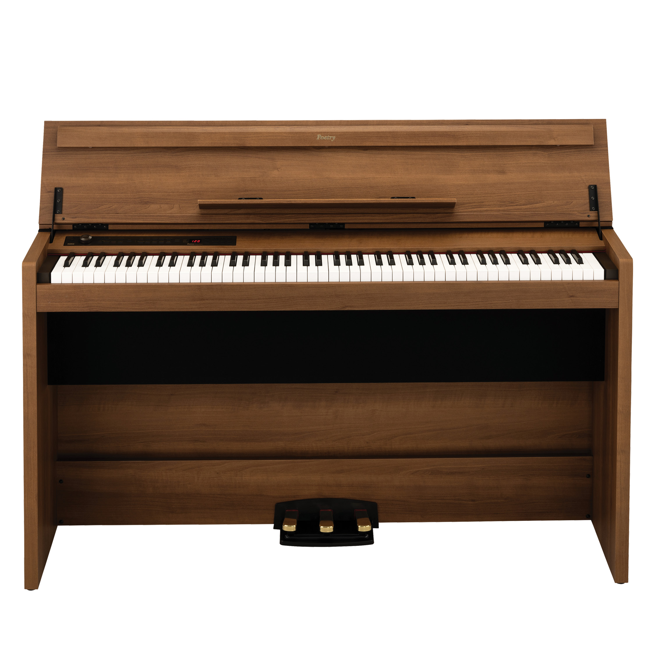 Korg Poetry Magnifique