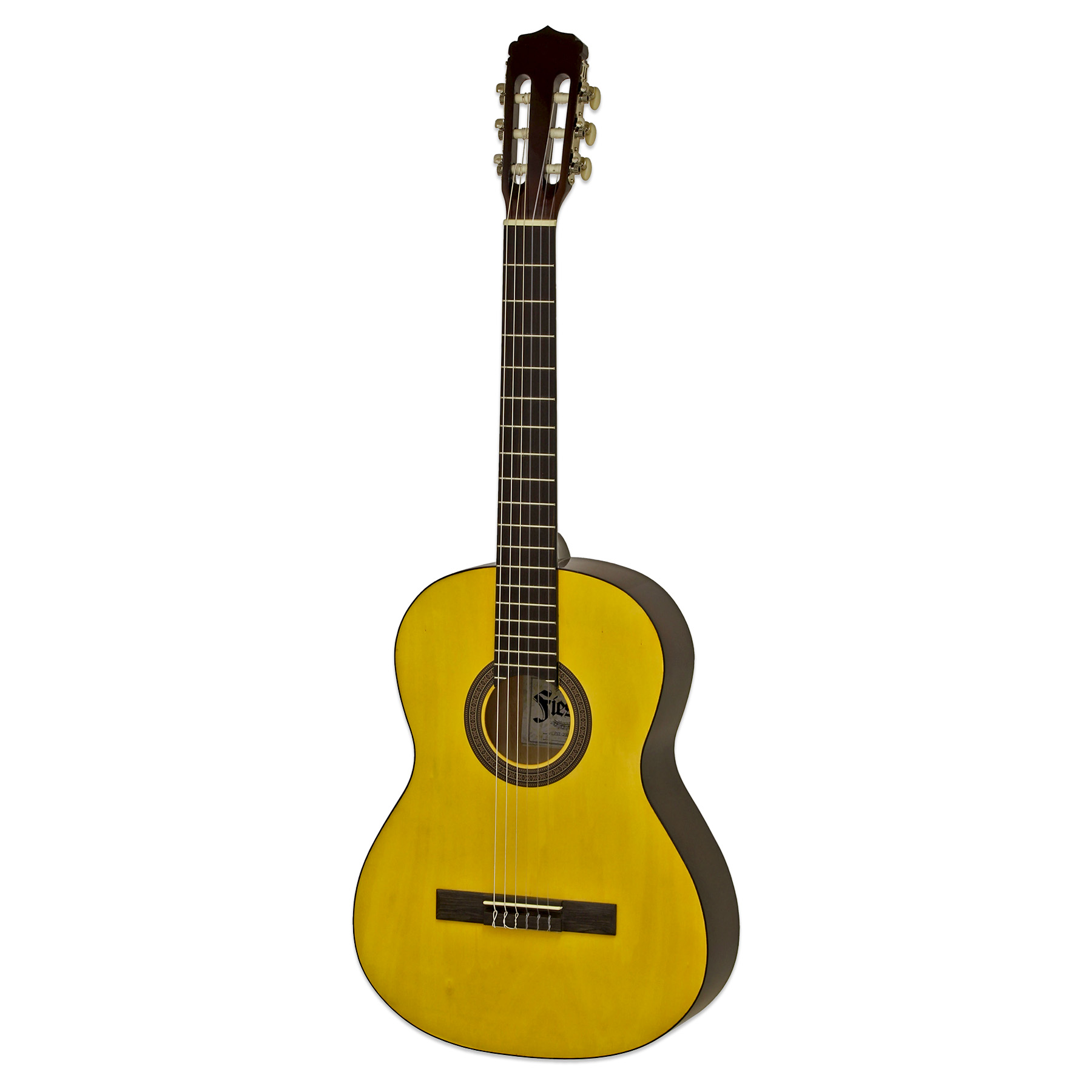 Aria FST 200 N -  Klasična školska gitara