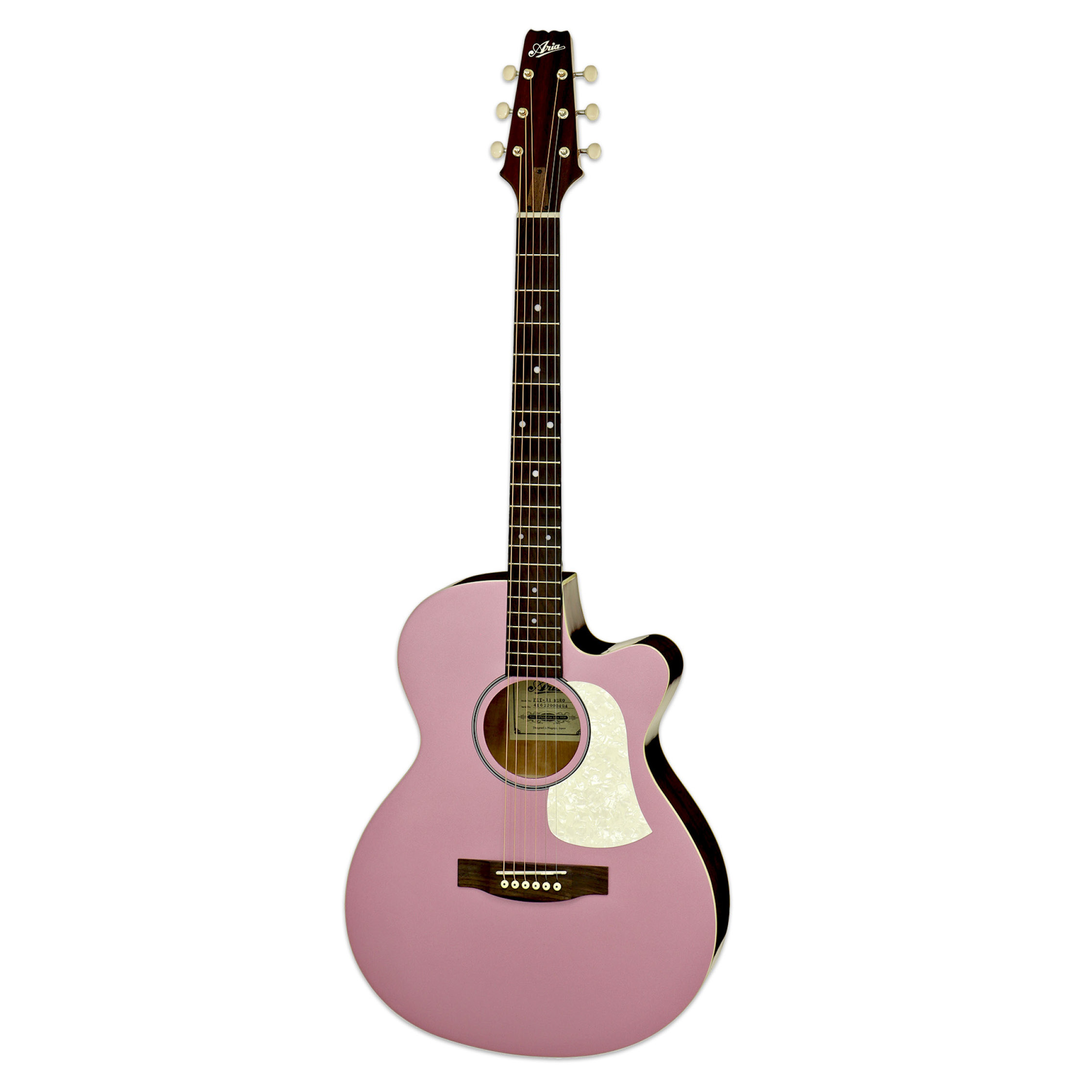 Aria FET-R1 MSRO - Ozvučena akustična Gitara